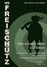 Was gleicht wohl auf Erden