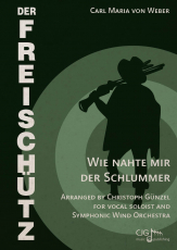 Wie nahte mir der Schlummer