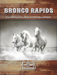 Bronco Rapids